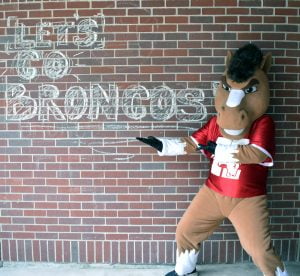 Bosco with "Let's Go Broncos" in chalk on brick.